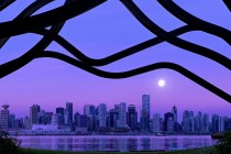 qq靓号中心官网（靓号网官网）